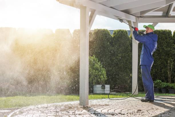 Best Driveway Pressure Washing  in West Point, UT